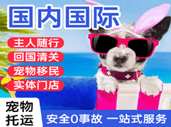 阿拉善右旗巴丹吉林机场邮寄国际宠物托运 【国